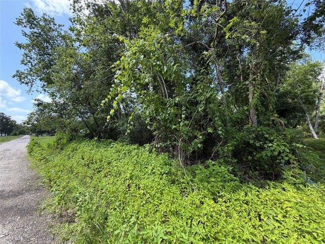 Land for sale in Guy, Texas