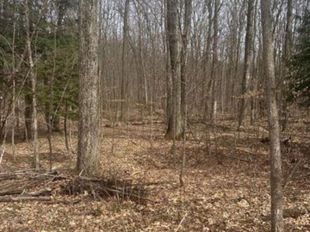 Land for sale in Beulah, Michigan