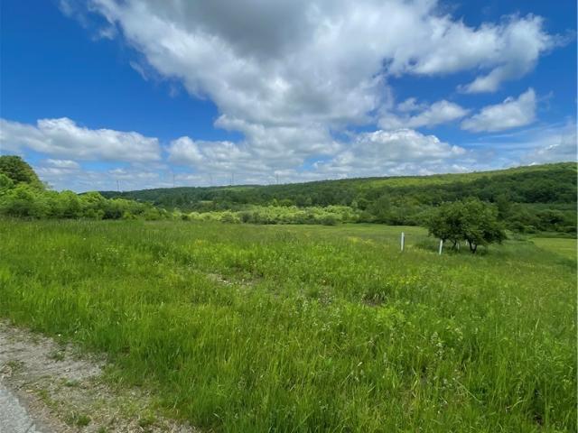 Land for sale in New York