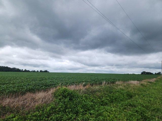 Farm for sale in Randolph, Illinois