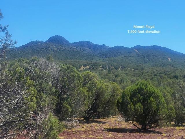 Land for sale in Williams, Coconino County
