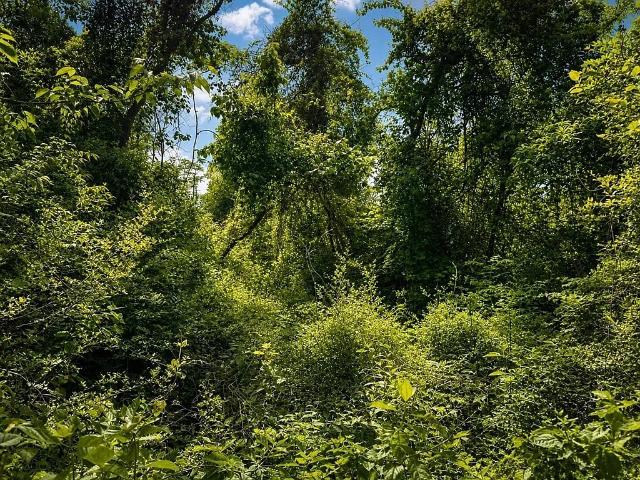 Land for sale in Garrison, Texas
