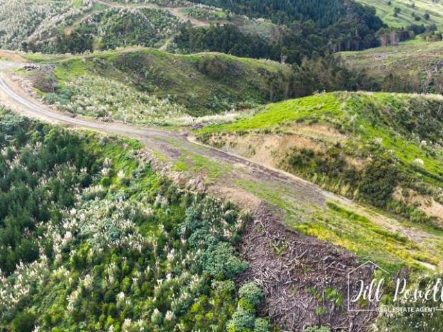 Property for sale in Maungaturoto, Northland
