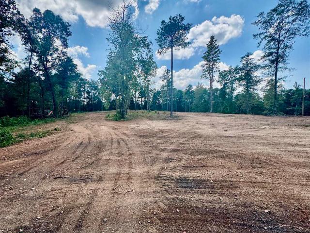 Land for sale in Wedowee, Alabama