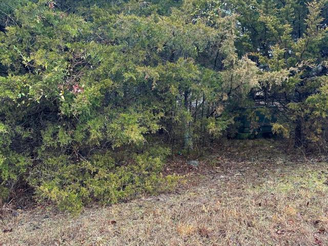Land for sale in Tazewell, East Tennessee