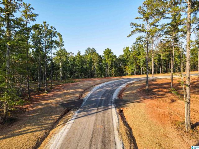 Land for sale in Wedowee, Alabama