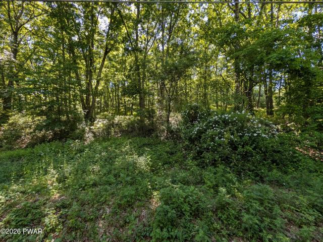 Land for sale in Delaware Township, Pike County