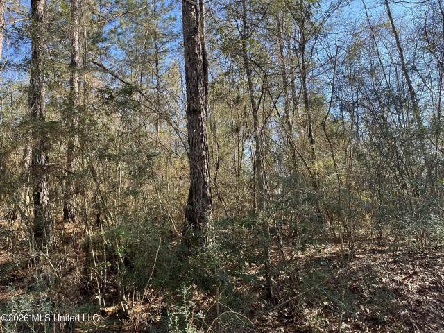 Land for sale in Lumberton, Mississippi