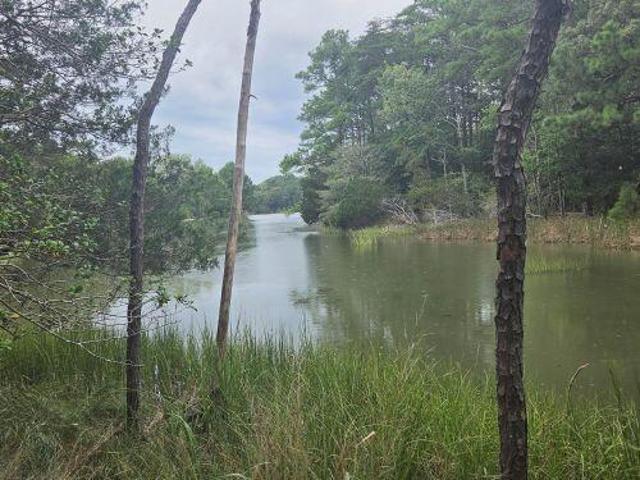 Land for sale in Virginia