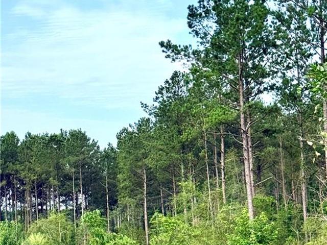 Land for sale in Franklinton, Louisiana