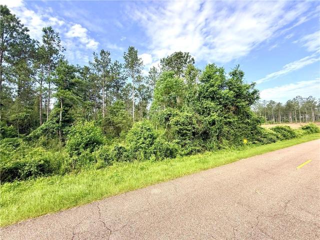 Land for sale in Franklinton, Washington Parish