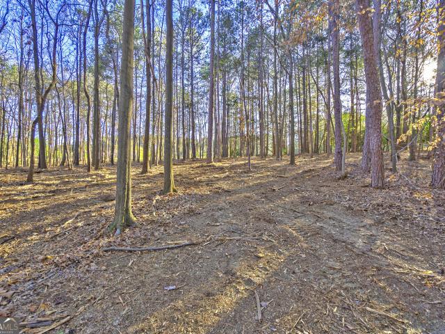 Land for sale in Hartwell, Georgia