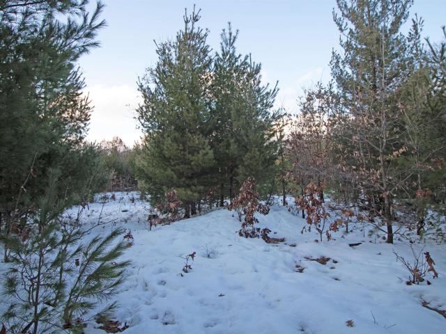 Land for sale in Spring Green, Wisconsin