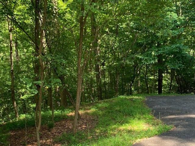 Land for sale in Blairsville, Georgia