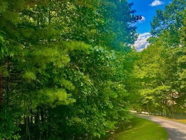 Land for sale in Blairsville, Georgia
