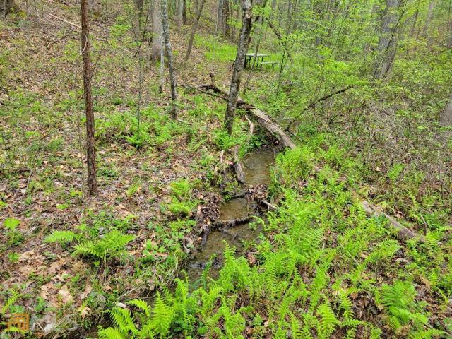 Land for sale in Gilmer, Georgia