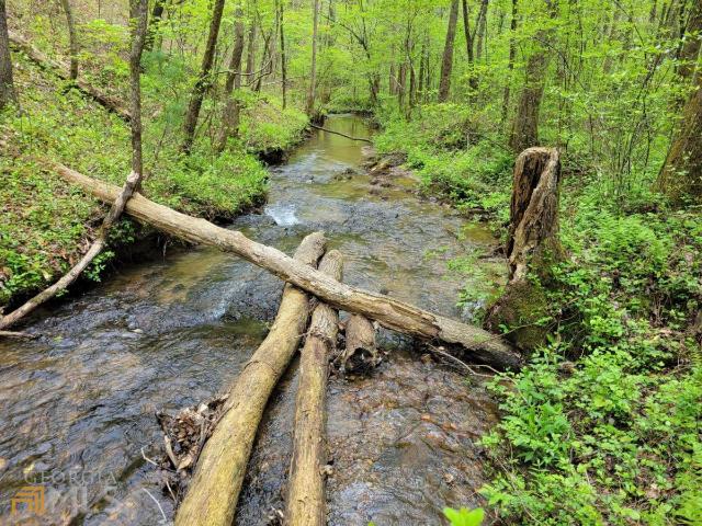Land for sale in Gilmer, Georgia