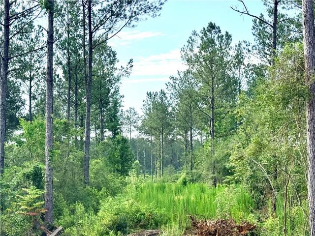 Land for sale in Franklinton, Louisiana