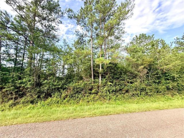 Land for sale in Franklinton, Louisiana