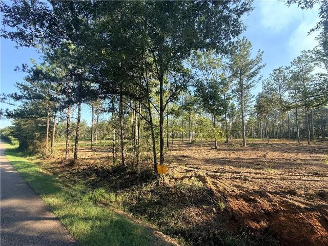Land for sale in Franklinton, Washington Parish