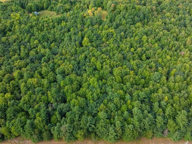 Land for sale in Town of Tainter, Dunn County