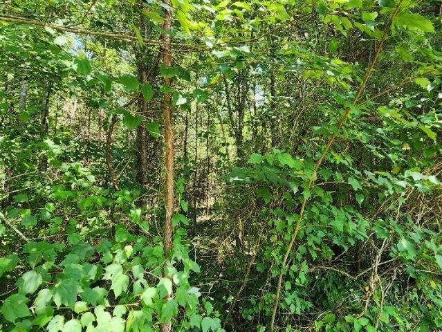 Land for sale in Tennessee