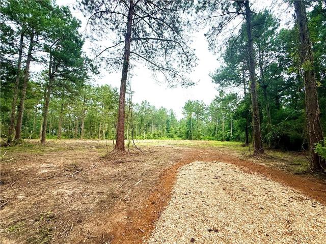 Land for sale in Franklinton, Louisiana