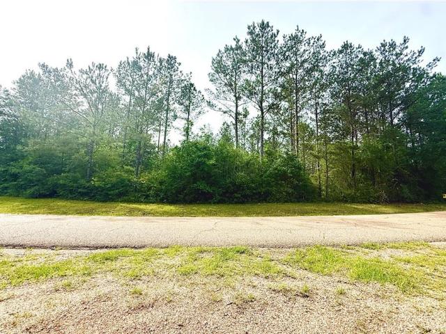 Land for sale in Franklinton, Louisiana