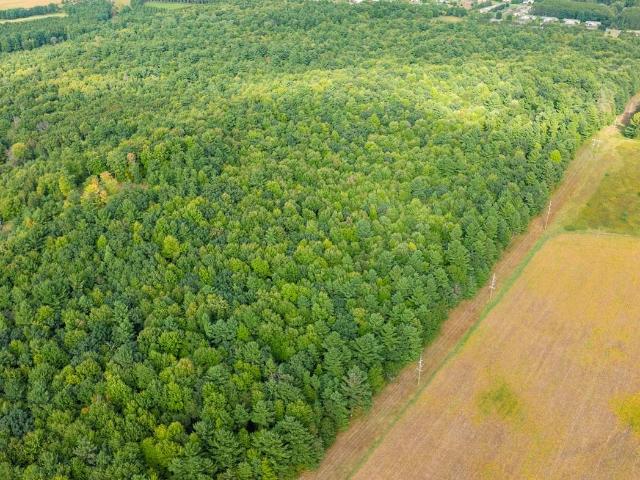 Land for sale in Town of Tainter, Dunn County