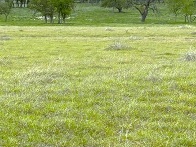 Land for sale in Harper