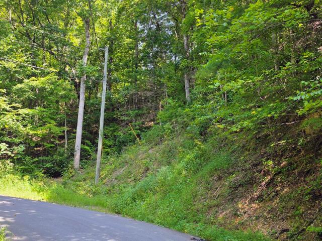 Land for sale in Tennessee