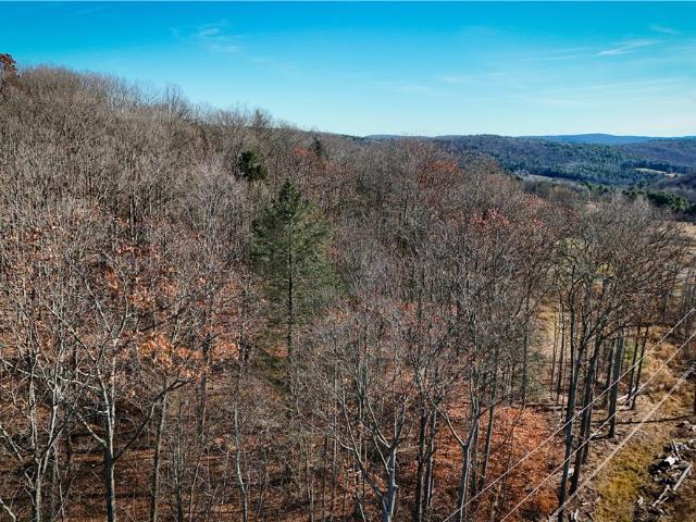 Land for sale in Van Etten, New York