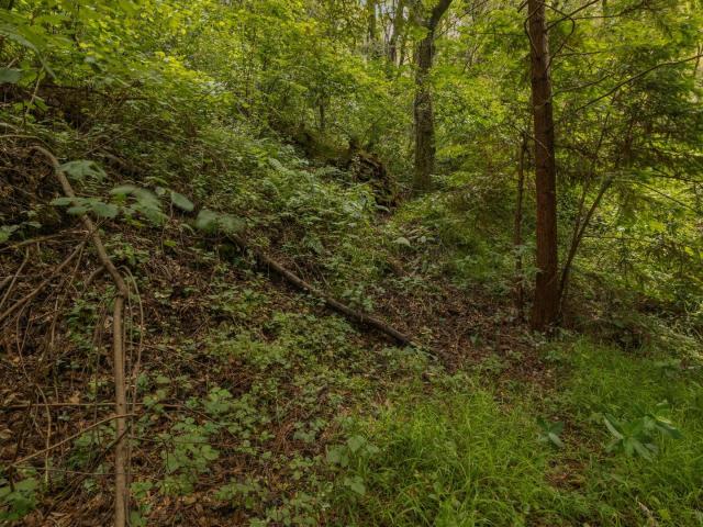 Land for sale in Aptos, California