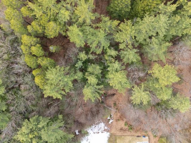 Land for sale in New Hampshire