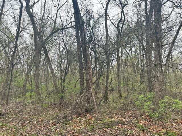 Land for sale in Trempealeau, Wisconsin