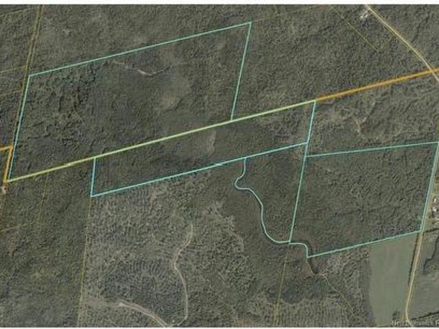 Land for sale in Carleton, New Brunswick