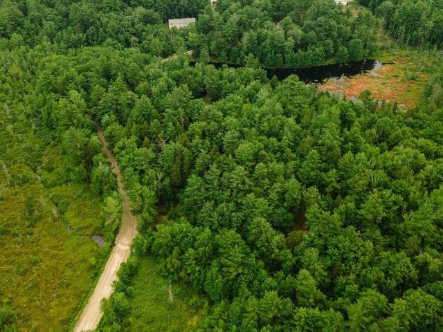 Land for sale in New Hampshire
