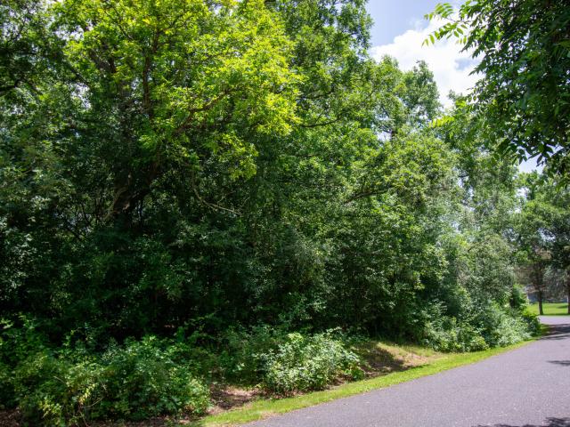 Land for sale in Wisconsin