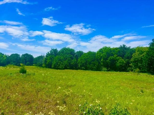 Land for sale in Parker, Texas