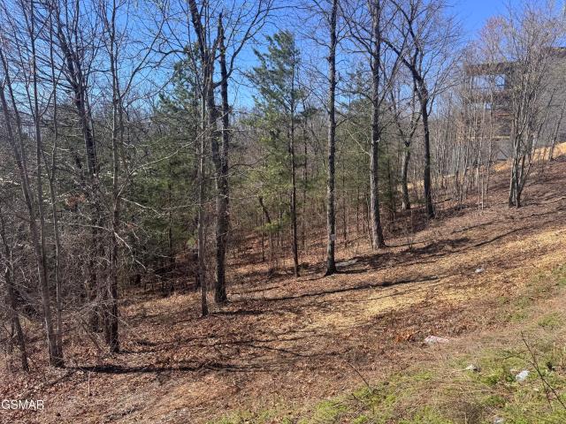 Land for sale in Tennessee