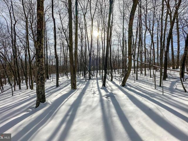 Land for sale in Garrett, Maryland