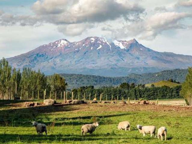 Property for sale in Ruapehu District