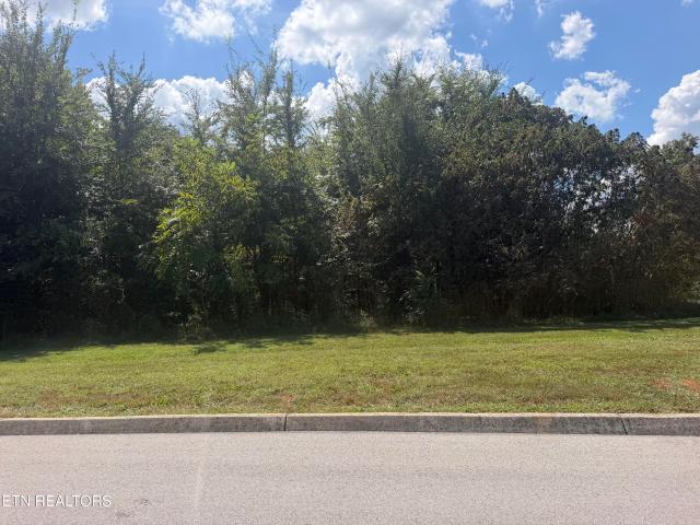 Land for sale in Tennessee