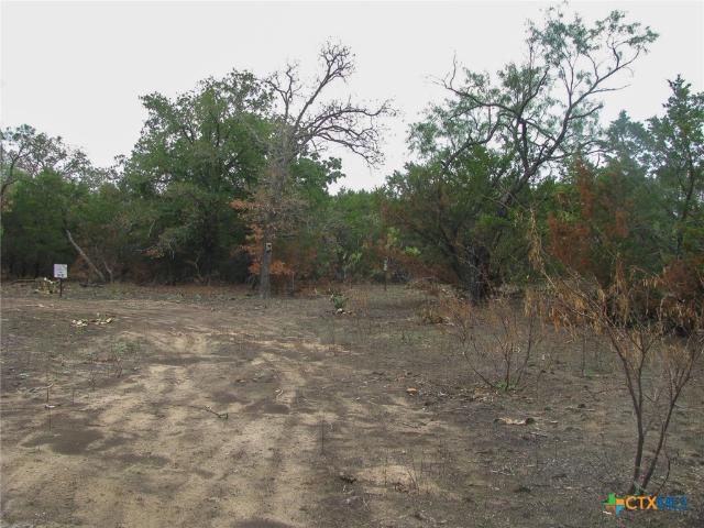 Land for sale in Evant, Hamilton County