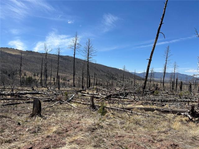 Land for sale in Fort Garland, Colorado