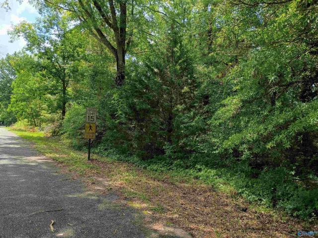 Land for sale in Centre, Alabama