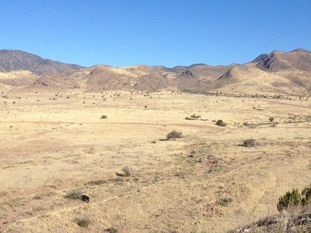 Land for sale in New Mexico