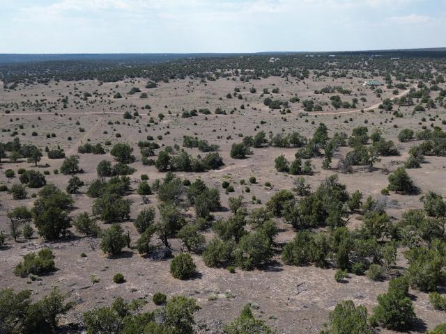 Land for sale in Catron, New Mexico
