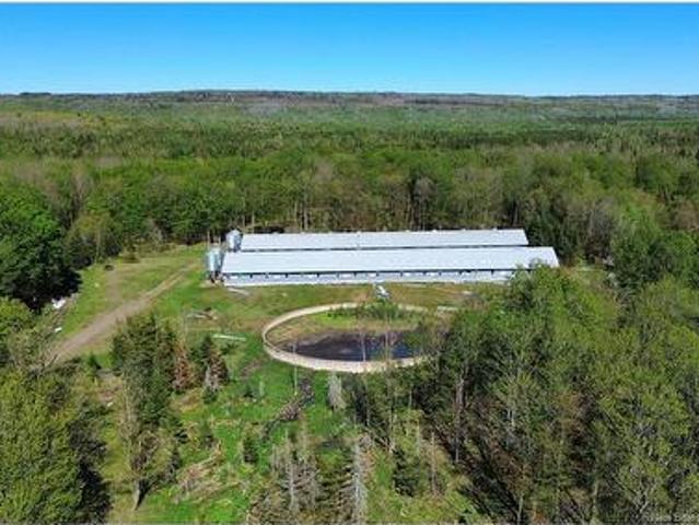 Land for sale in Carleton, New Brunswick