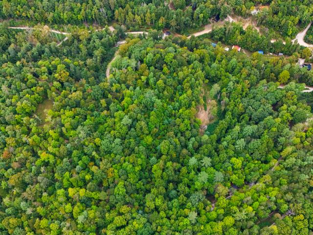 Land for sale in High Falls, Campton